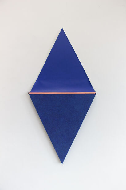 F-Blue and Pink Iris - a Paint Artowrk by Silvia Lerin